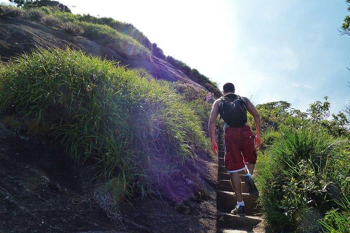 Tijuca Rainforest Hiking Tour in Rio de Janeiro