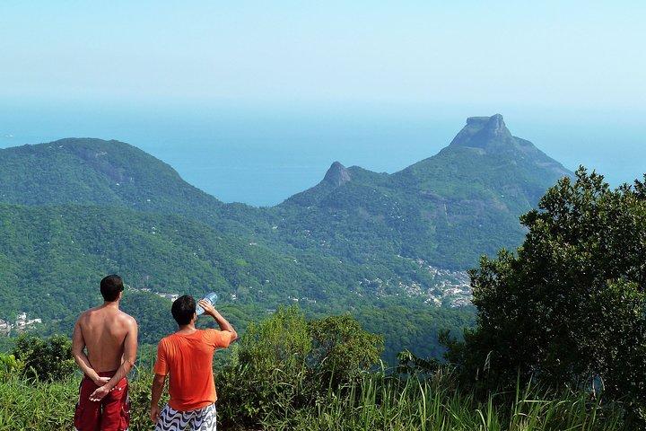 Tijuca Rainforest Hiking Tour in Rio de Janeiro