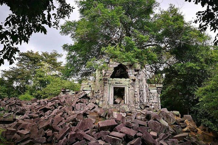 Sacred Stones & Jungle Ruins: Beng Mealea and Banteay Srei