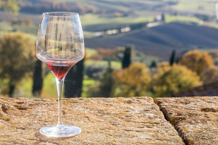 Verona area: Wine Tasting Experience in Valpolicella