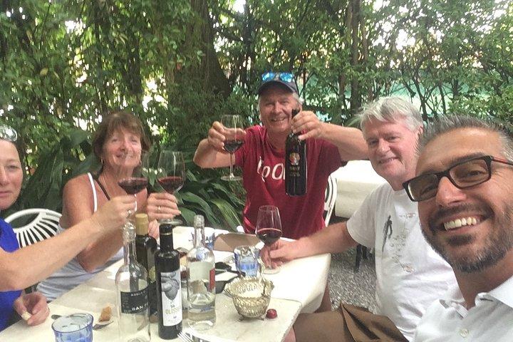 Chianti Wines and San Gimignano Tour from Florence (1 Winery)