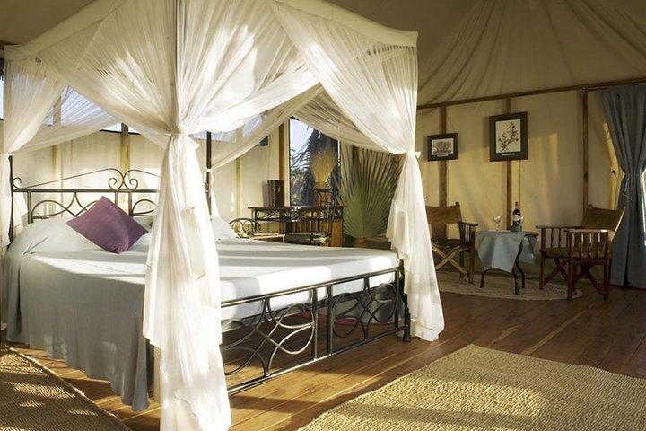 3-Day Masai Mara Safari (Mid-Range Accommodation)