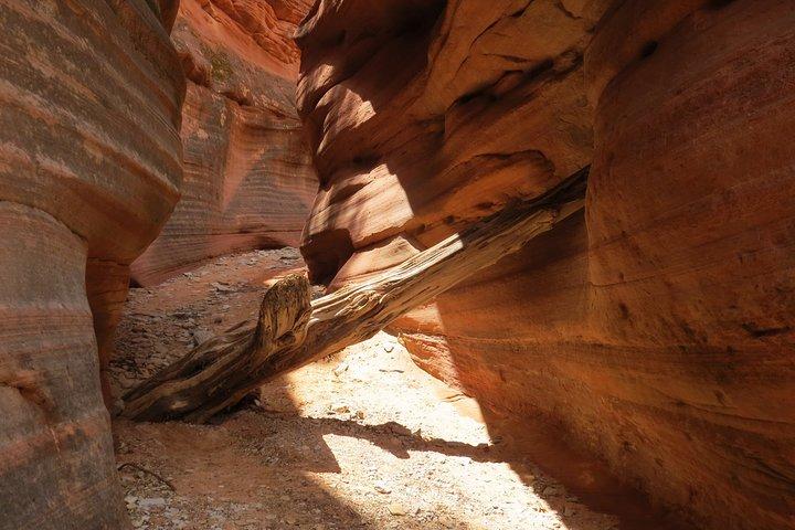 Peekaboo Slot Canyon 4WD Tour