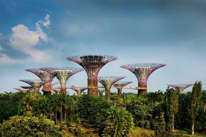 BEST Singapore Private City Tour by an Insider (1/2/3 x full-day)