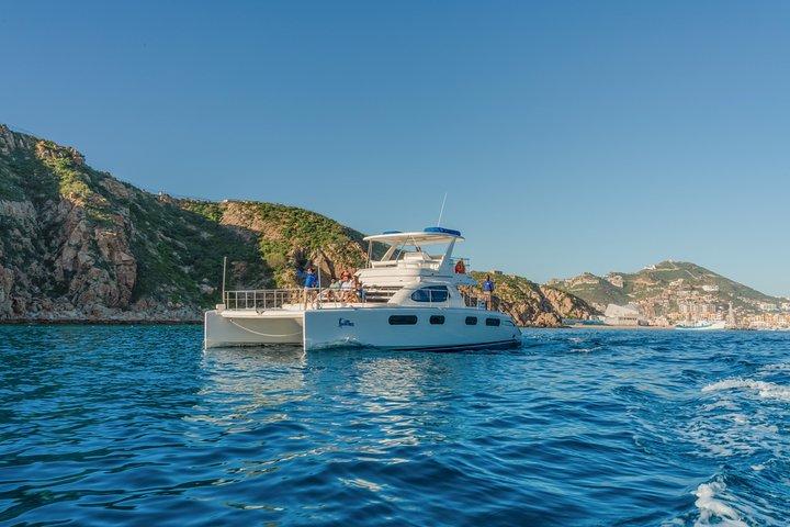 Luxury Catamaran Whale Watching Cabo San Lucas