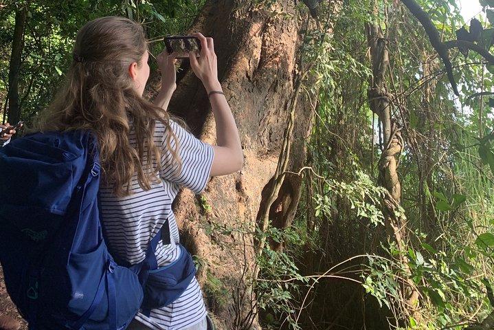 Amazing Lake Duluti Day Trip Experience