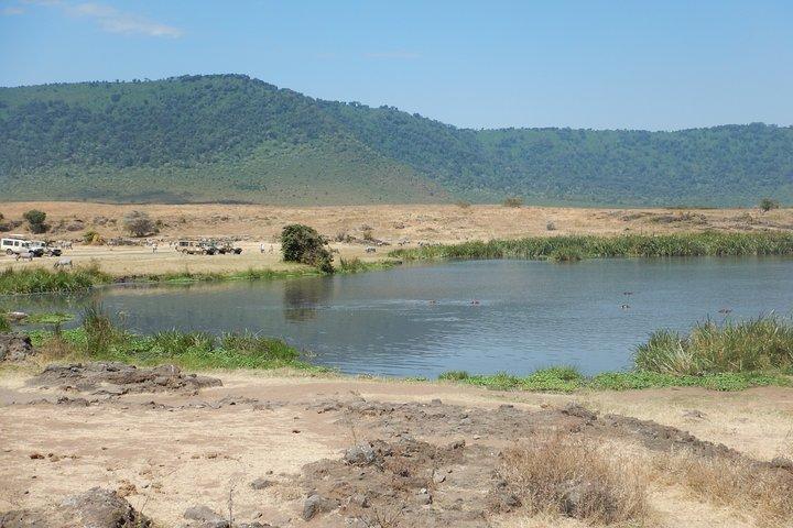 Ngorongoro Adventure Day Tour from Arusha