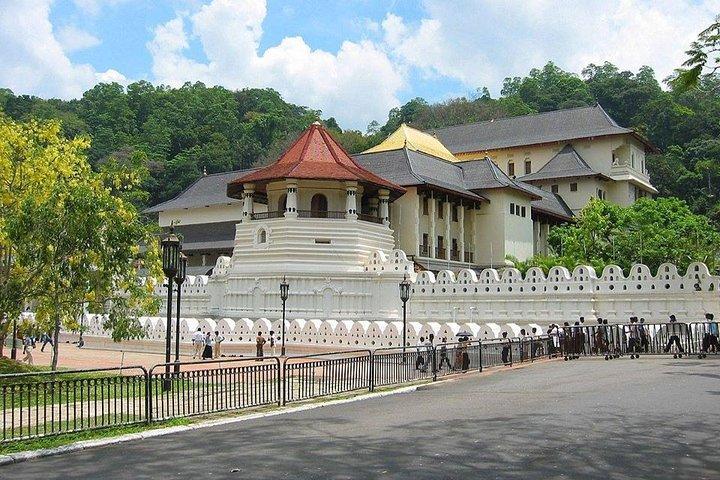 Sri Lanka Airport (BIA CMB) to Kandy Pickup And Drop|Private Transfer