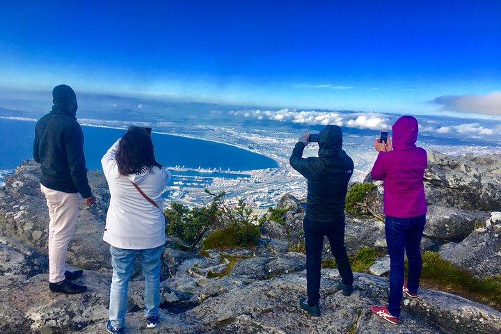 Private Tour: Table Mountain, Penguin Colony & Cape of Good Hope incl. Park Fees