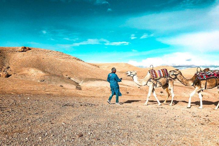 Premium Agafay Desert & Camel Safari Day Tour From Marakech