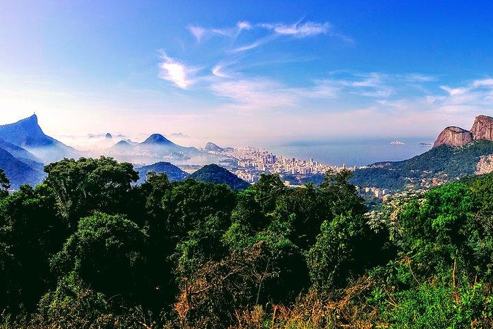 Rio Nature Secrets - The Eco Citytour (small group or private)