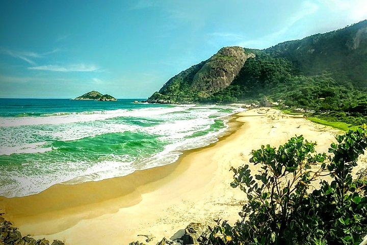 Rio Nature Secrets - The Eco Citytour (small group or private)