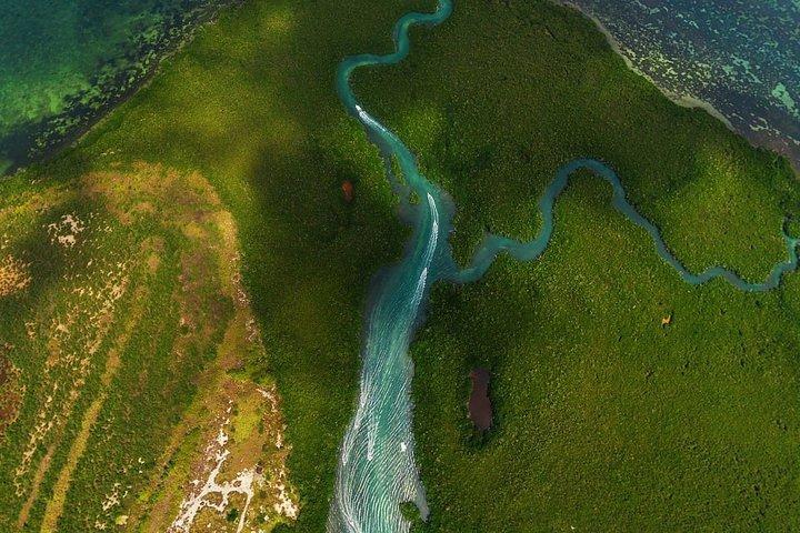 Mangrove and Lagoon Speed Boat Tour