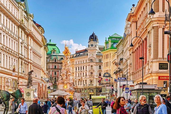 Private Transfer from Budapest to Vienna, English-speaking driver