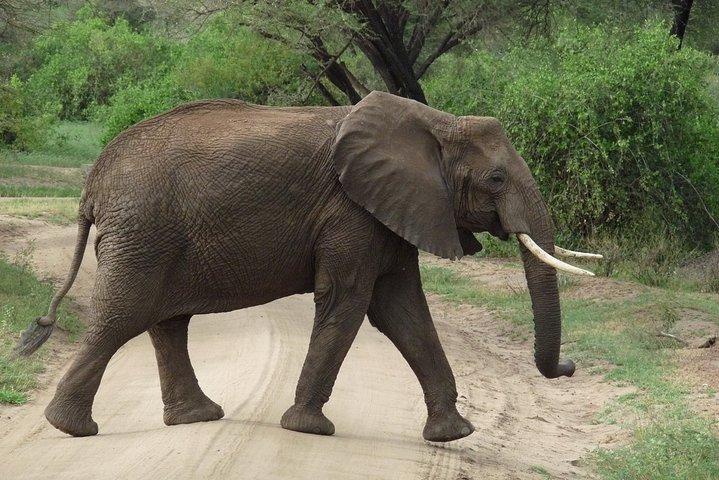 3 Days Lodge Safari