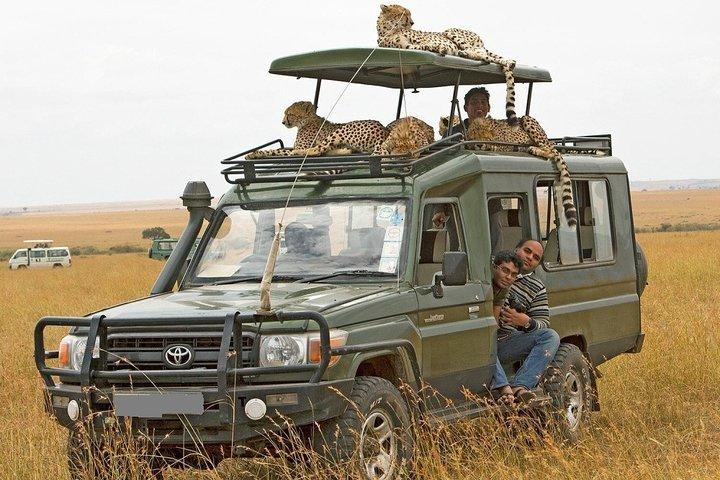12-Days Best of Kenya Wildlife Jeep Safari - High End