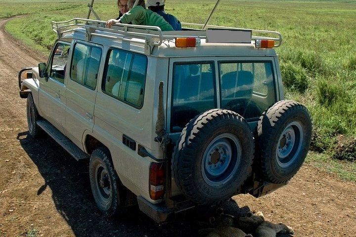 12-Days Best of Kenya Wildlife Jeep Safari - High End