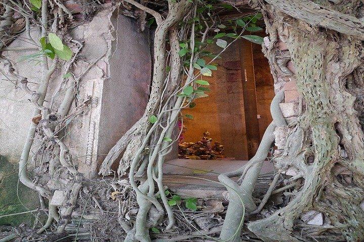 Private Amphawa & Maeklong Railway Market Day Tour with Fireflies