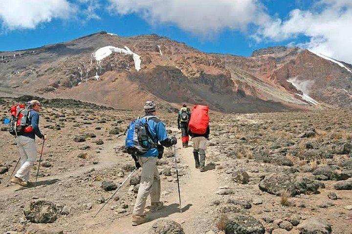 Mount Kilimanjaro: 7-Day Trekking - Lemosho Route