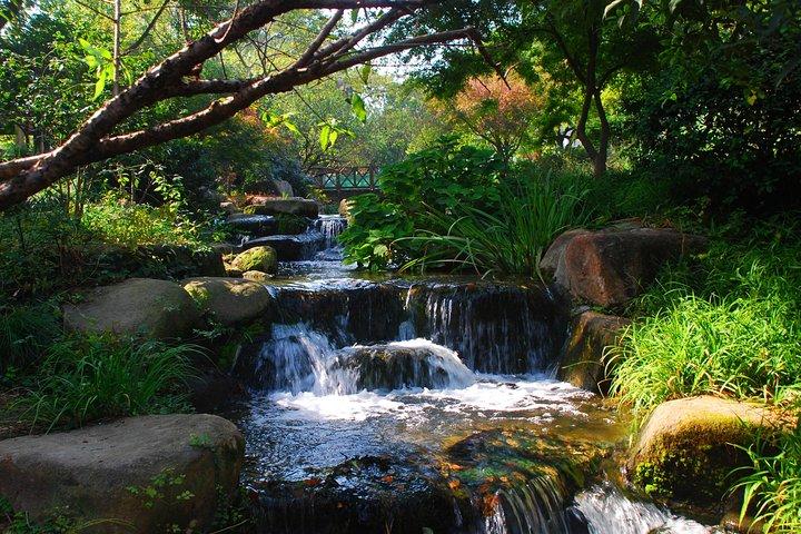 Hangzhou Private Day Tour with West Lake, Tea Village, Lingyin Temple and More