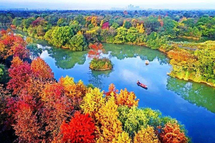 Hanghzhou Xixi Wetland Half Day Tour with E-Boat Ride