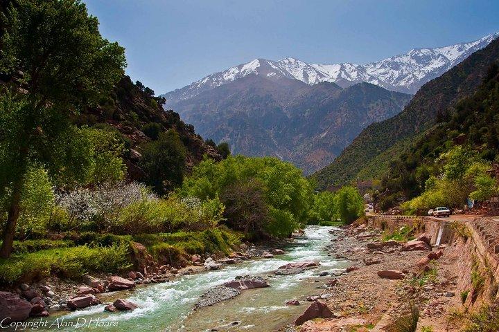 Full-Day Private Tour to Ourika Valley from Marrakech