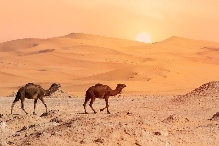 4-Day Sahara Desert Tour from Marrakech with Camel Ride