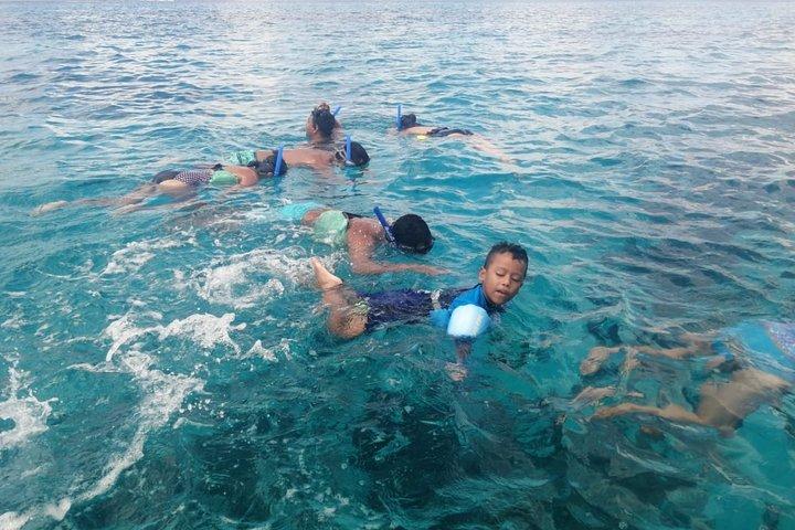 Cozumel Snorkel Nature Experience! From Cancun & Playa Del Carmen