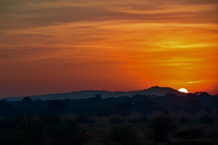 3 Days 2 Nights Adventure in Ngorongoro and lake Manyara (Comfort)