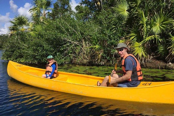 Private - Tulum Ruins and 3 Cenotes Jungle Adventure
