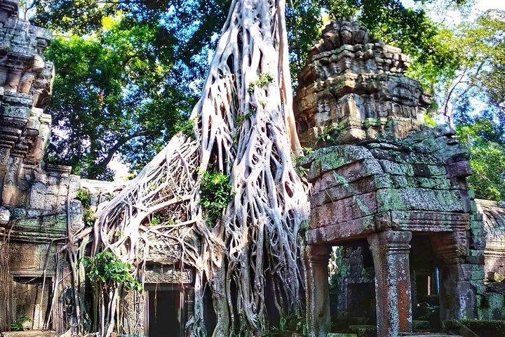 3-Day Tour(Unforgettable Angkor Temple Complex, Banteay Srei& Floating Village)