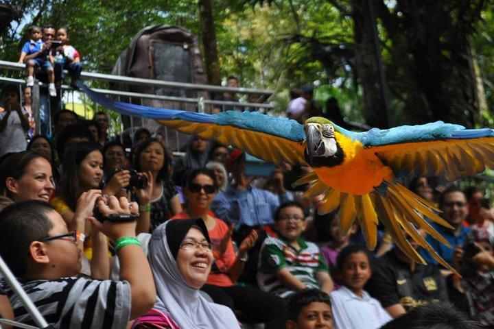 Go Nature - Orchid Garden, Bird Park & Butterfly Park Tour