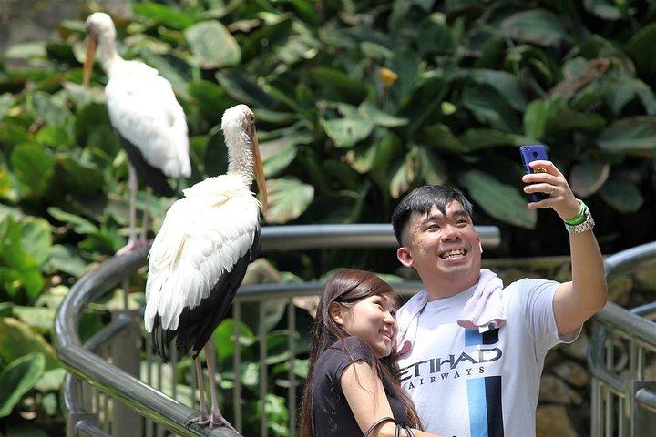 Go Nature - Orchid Garden, Bird Park & Butterfly Park Tour