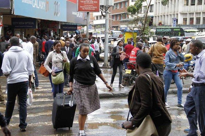 Nairobi City Walking Guided Half-Day Tour