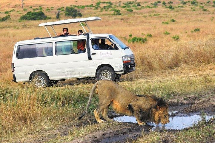Lake Nakuru Tour With Optional Boat Ride at Lake Naivasha