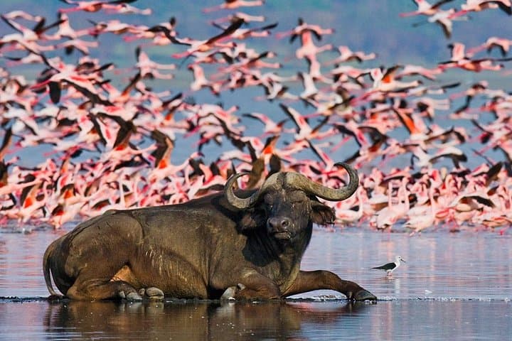 3 DAYS LAKE NAKURU-HELL'S GATE (Cost Based on Minimum 2 persons)