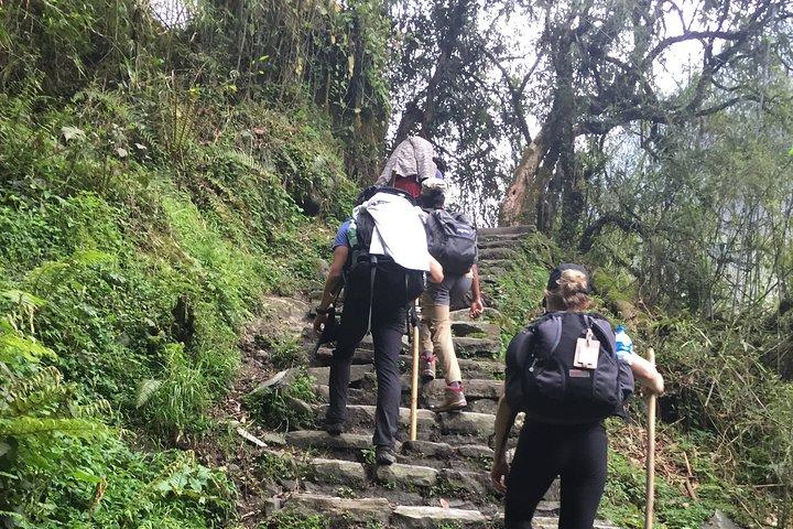 7 Days Annapurna Base Camp Trek from Pokhara