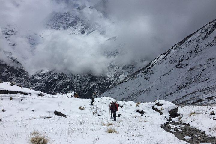 7 Days Annapurna Base Camp Trek from Pokhara