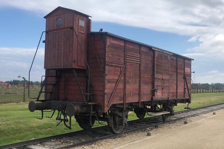 Auschwitz-Birkenau and Wieliczka Salt Mine Museum Guided Tour from Krakow