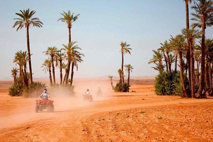 Marrakech: Half-Day Desert Quad & Dromedary Tour