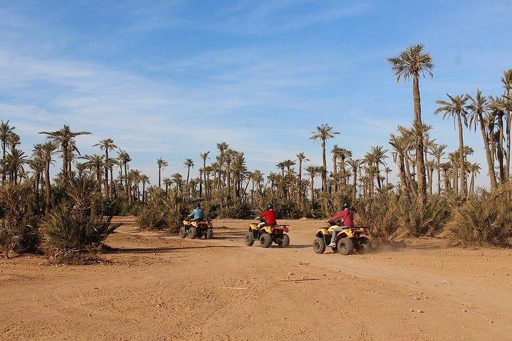 Marrakech: Half-Day Desert Quad & Dromedary Tour