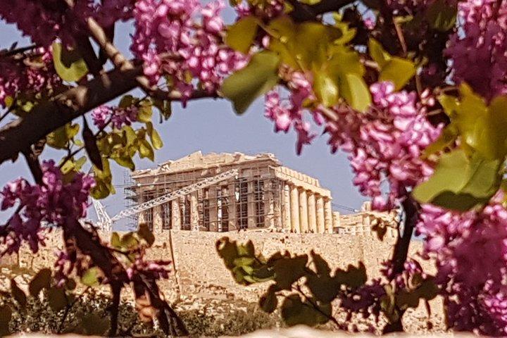 Private Trip Athens City's Landmarks.