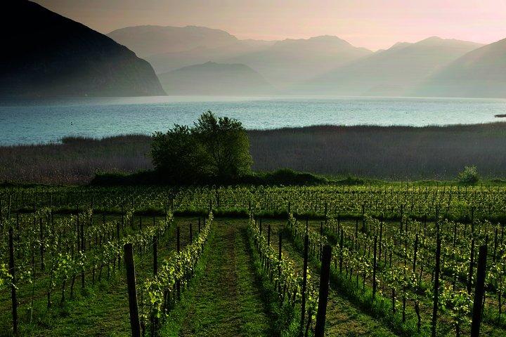 Bergamo and Franciacorta with lunch and cellar visit