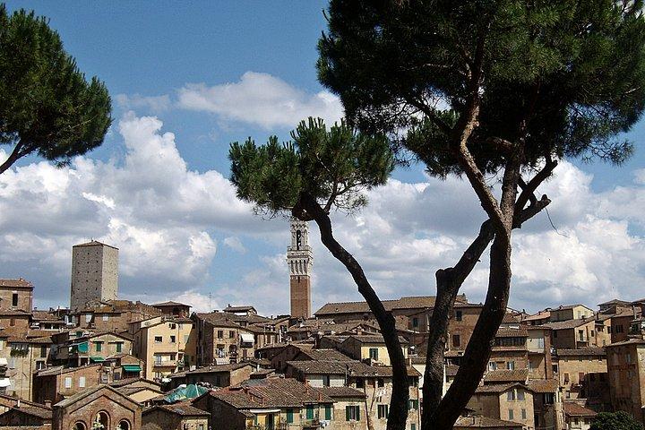 Secret Siena Walking Tour