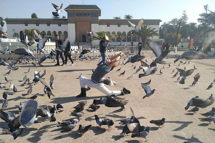 Excursion Casablanca one day trip from Marrakech