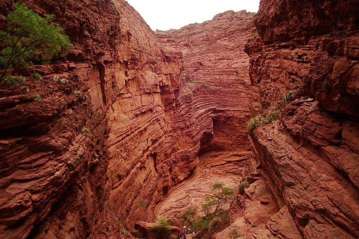 Full Day Excursion to Cafayate from Salta