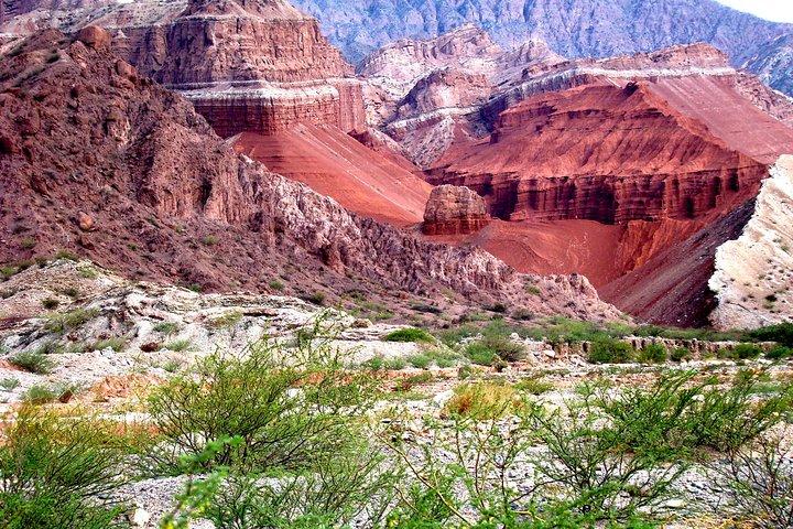 Full Day Excursion to Cafayate from Salta