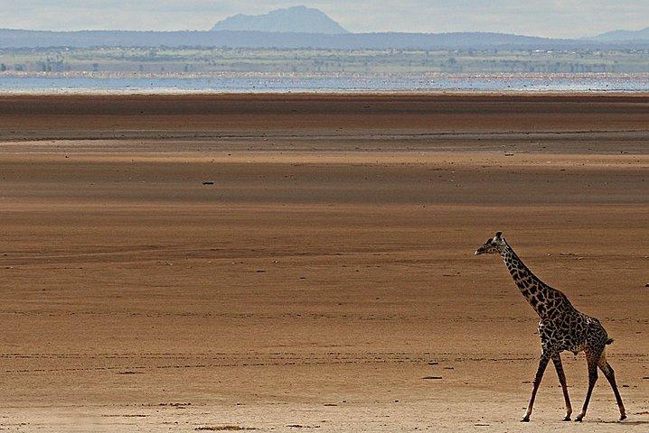 5 Days Honey Moon Safari Tanzania
