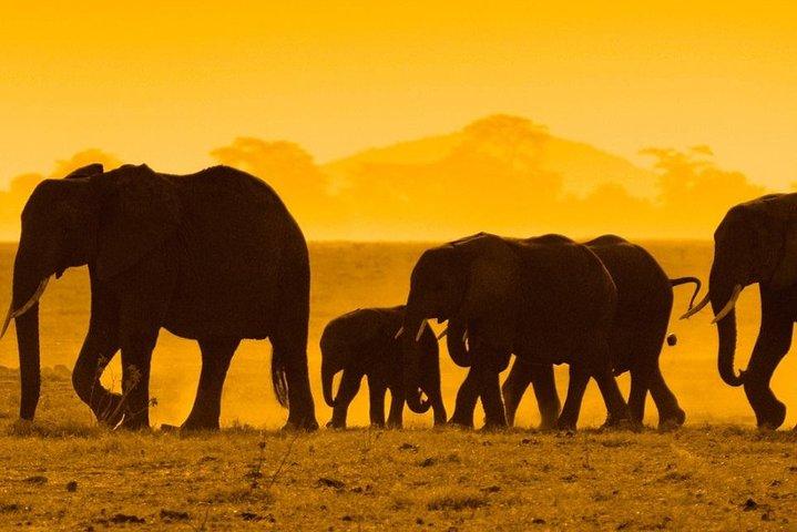 5 Days Honey Moon Safari Tanzania