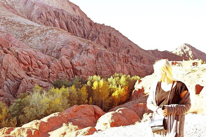 9 Days Southern Oasis, Kasbahs & Desert Morocco Cultural Tour from Marrakech